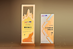 非凡国际
一举斩获“2024年度中国区最佳雇主”等多项大奖