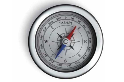 2015薪酬调查报告   