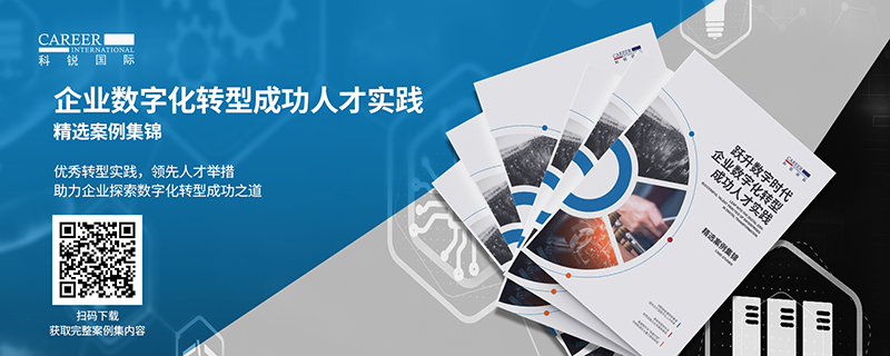 人力资源公司非凡国际
的《企业数字化转型成功人才实践》案例集